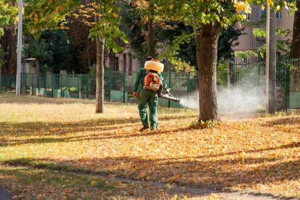 Reliable Fern Acres, HI Pest Control Solutions