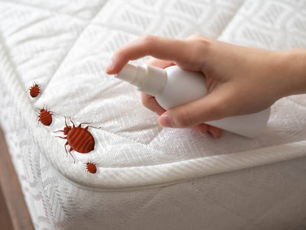 Pest Control Cost in Fern Acres, HI